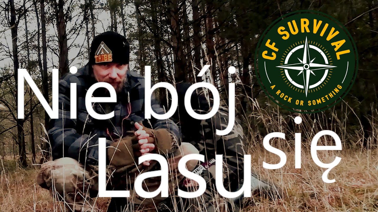 Boisz się lasu w nocy? Nie ma powodów
