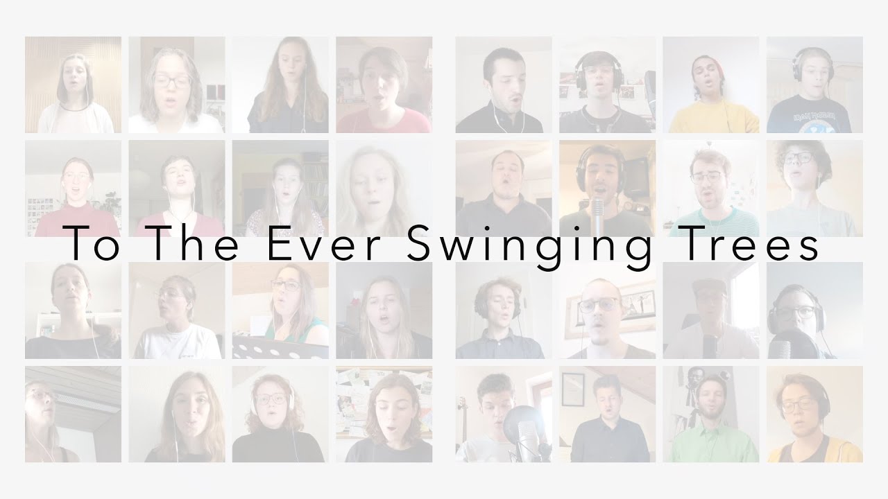 To The Ever Swinging Trees