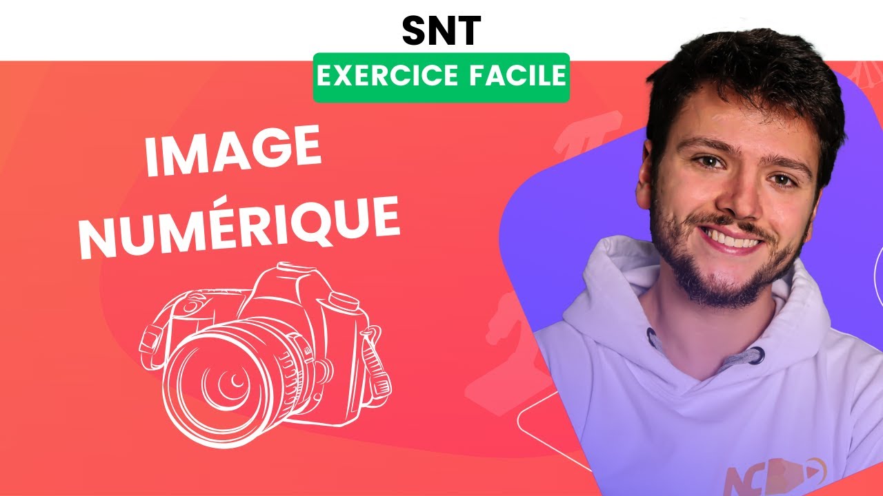 L'IMAGE NUMÉRIQUE - Exercice FACILE de SNT 2nde