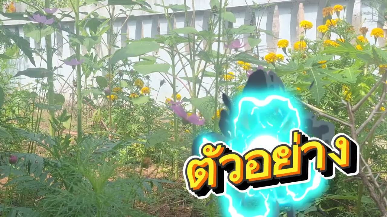 สุดปัง629"อ.สมจิต"แม่นจนเจ้าบ่รับ ต่องวดทันที16/2/69