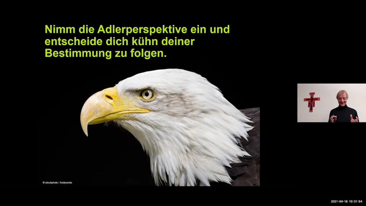 Leo Tanner: Online-Kurs 