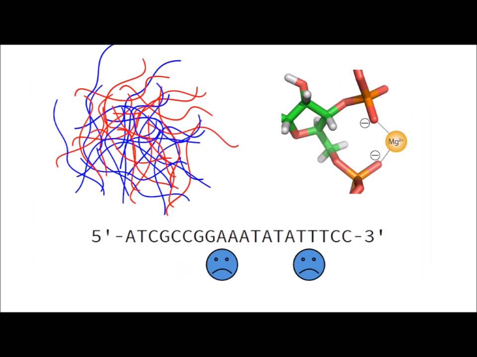 Melt curve analysis in qPCR experiments