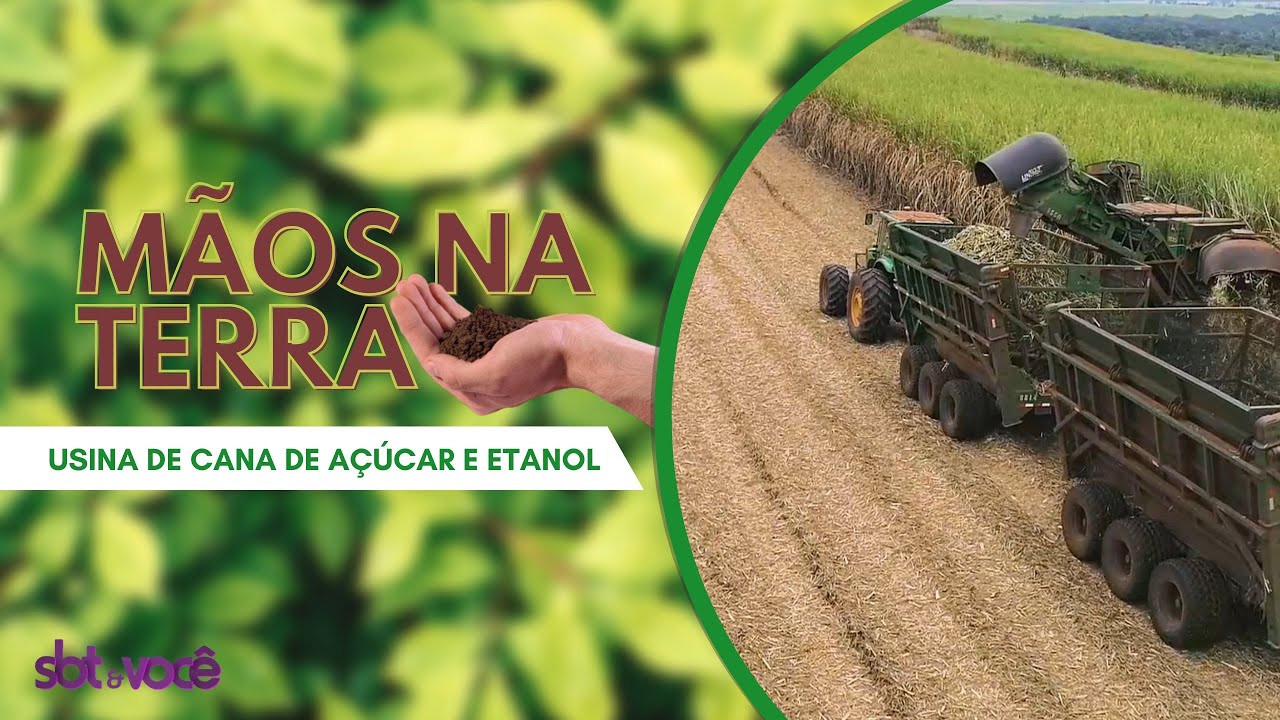M&atilde;os na Terra - Usina de Cana-de-a&ccedil;&uacute;car e de Etanol