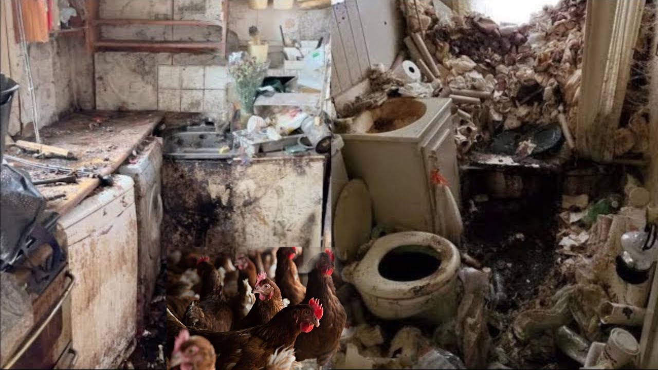 😱Have you seen people raising chickens and ducks at home⁉️ CLEANING MOTIVATION ~ Satisfying Cleaning