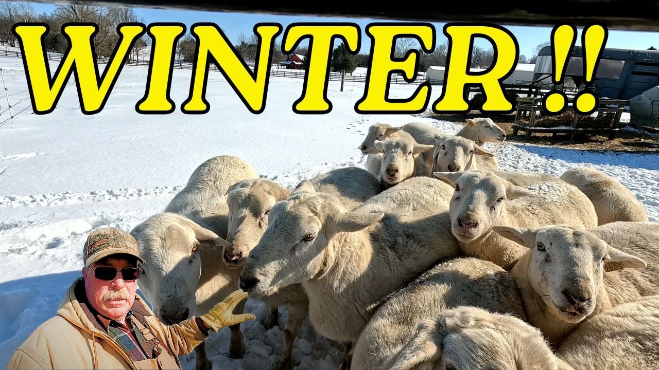 Снежный апокалипсис!!!