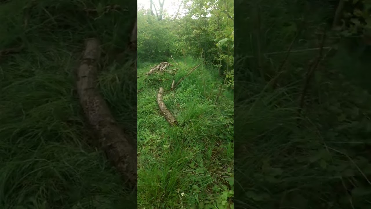 Kopiec Króla Kraka II  Krakuszowice - mało znany starożytny kopiec. Cz. 1