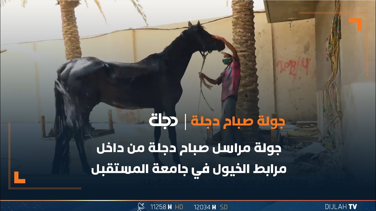 جولة مراسل 