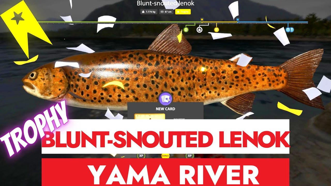 RUSSIAN FISHING 4 - RF4 - TROPHY BLUNT-SNOUTED LENOK - YAMA RIVER