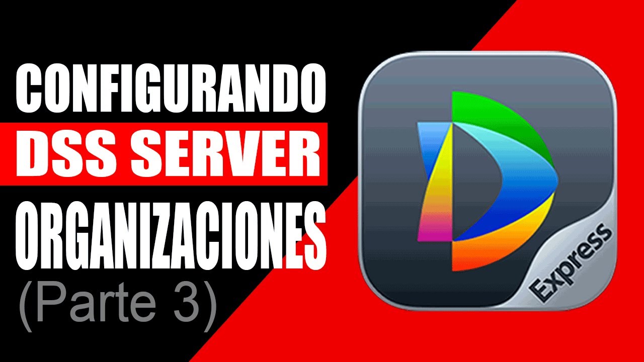 DSS Server V8 | Ep3: Organizando nuestros clientes