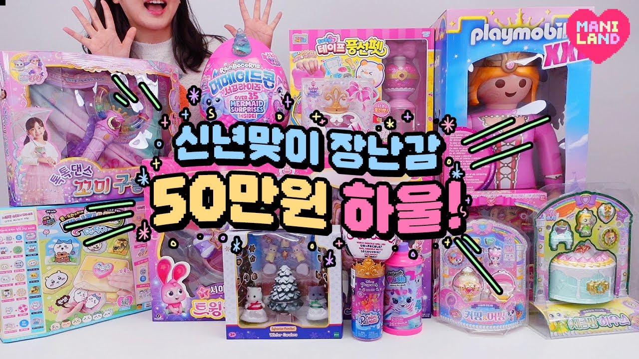 요즘 장난감 50만원 하울!✨🌈💖💗