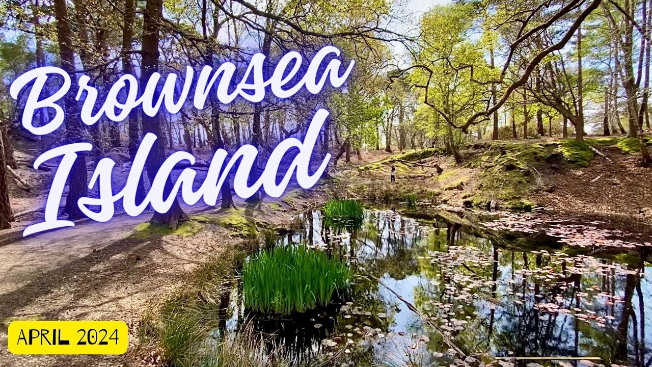 Exploring Brownsea Island: A Hidden Gem in Dorset/Brownsea Island/Dorset/Poole/Poole Quay
