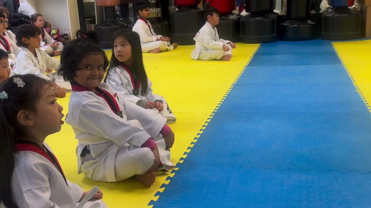 R taekwondo belt test white to hi white 