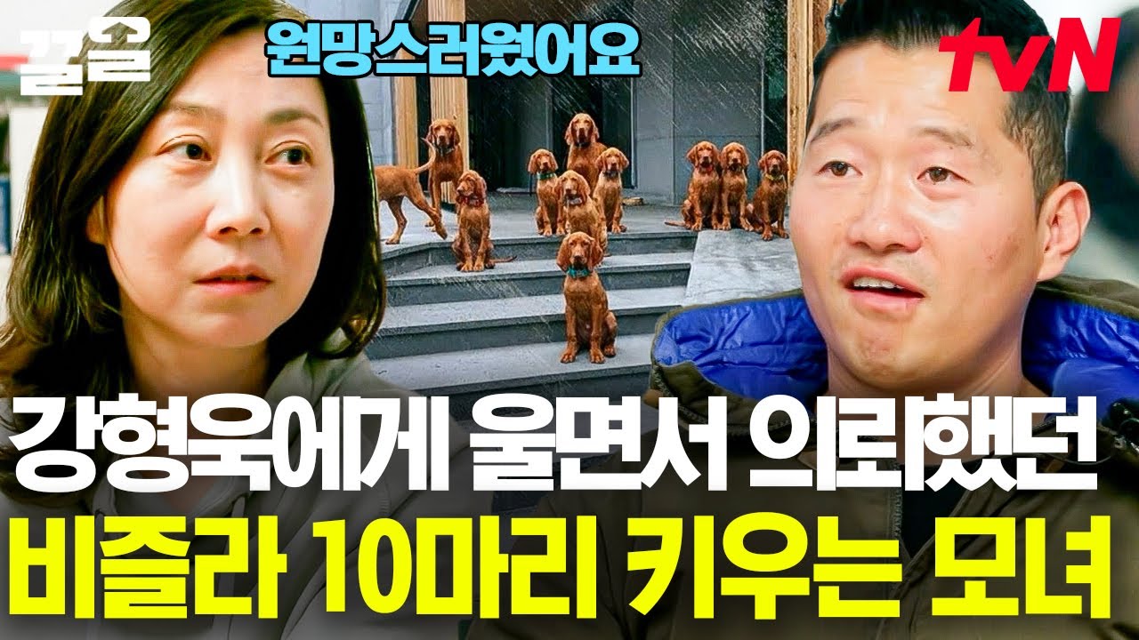 헝가리의 국견이자 대형견, '비즐라' 열 마리를 한 집에 키우고 싶어서 울기까지 한 모녀💧 그들의 현 상황은?! | 고독한훈련사