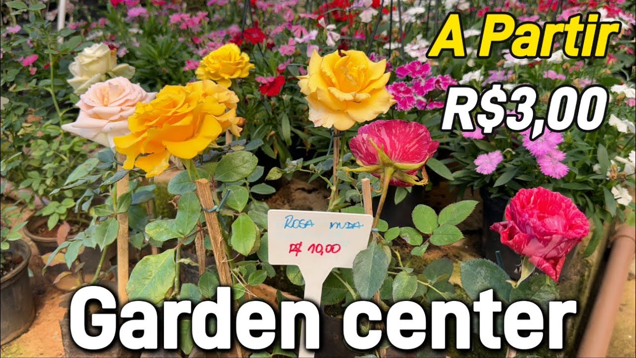 Plantas a partir R$3,00 no Garden