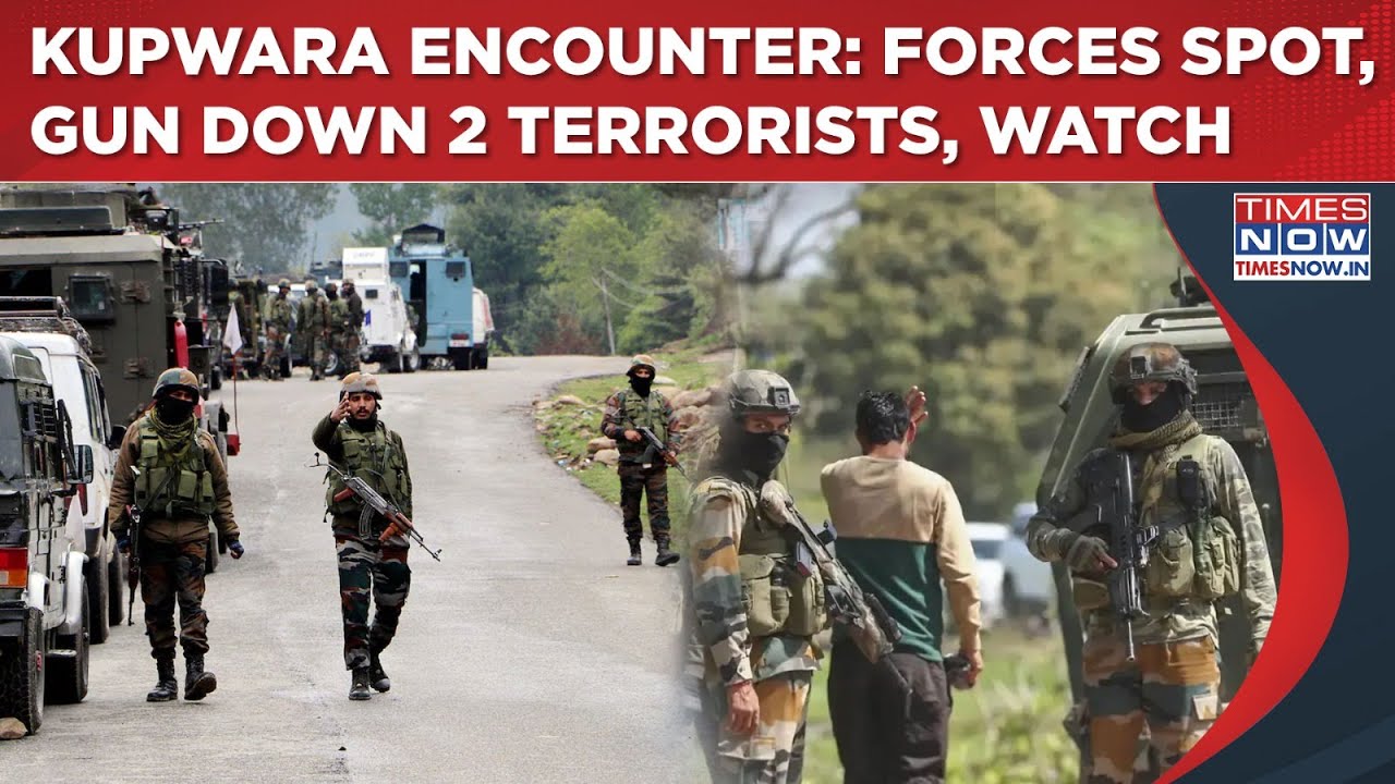 J&K: Big Win For Forces: 2 Terrorists Killed In Kupwara Encounter, Op 'Pimple' Intensified Along LoC