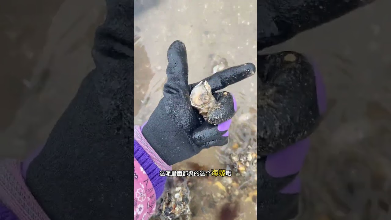 Eating seaweed on the island is free. Do you have it there#A beachdweller#Young people ret