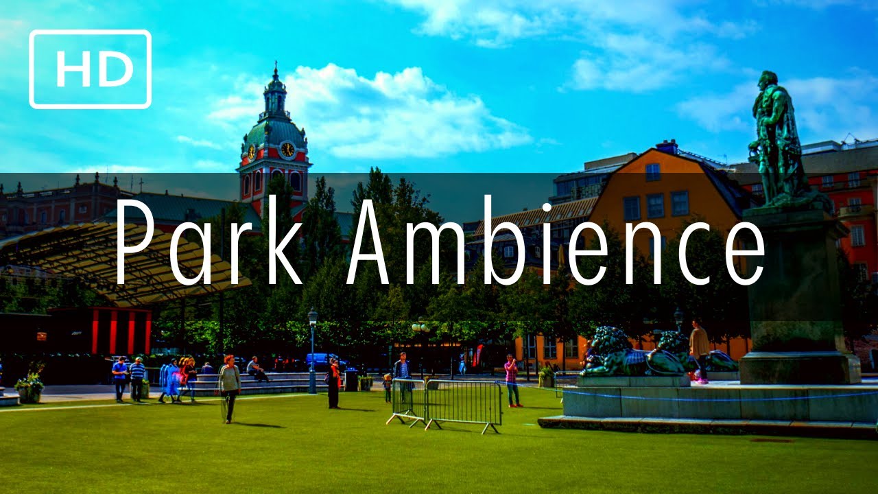 City park background noise park ambience