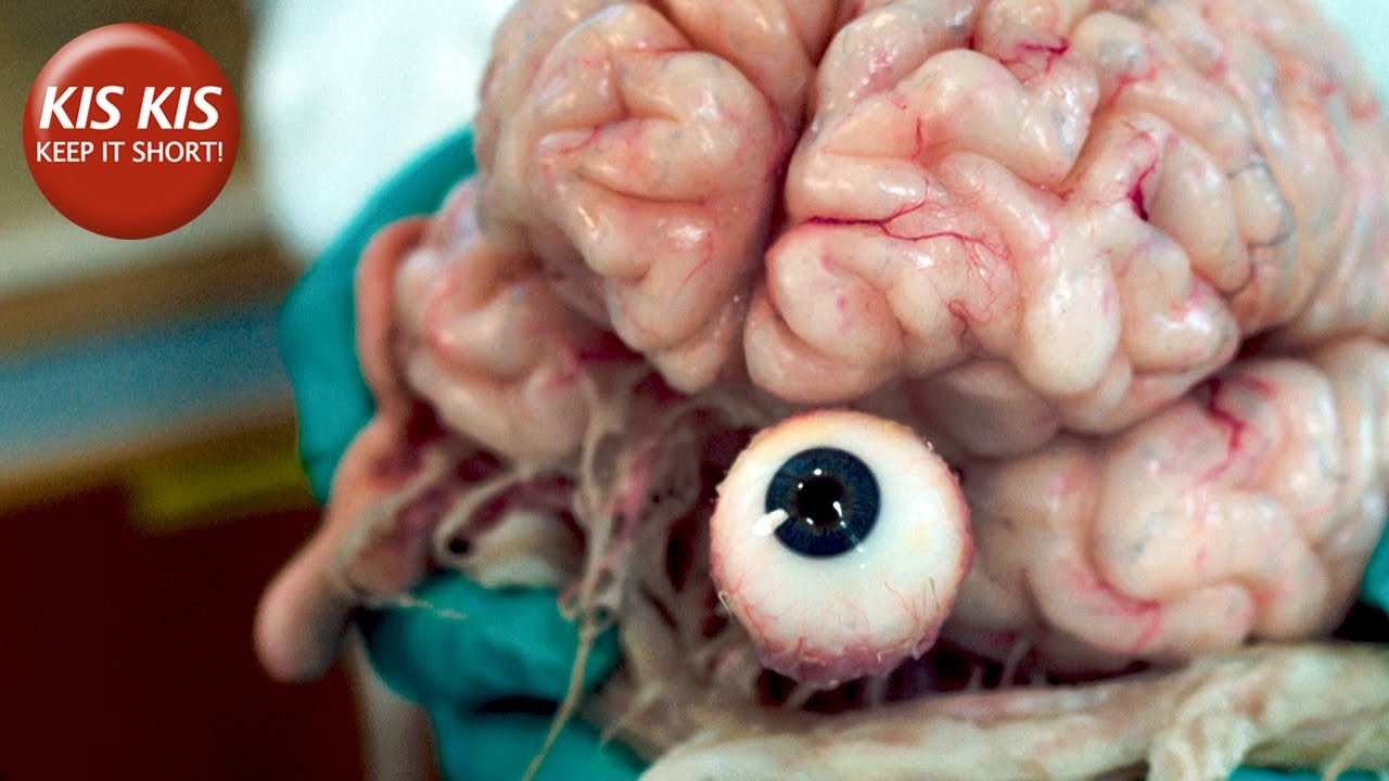 Experiment on a human brain | 