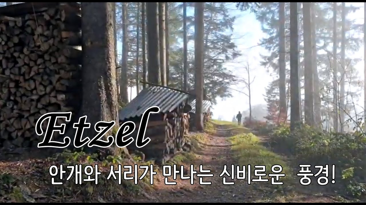 #Etzel#스위스#switzerland ,안개를 떠나 간 곳, 서리가 만들어낸 자연, 그리고 잠깐의 햇살을 즐긴 길 이야기.