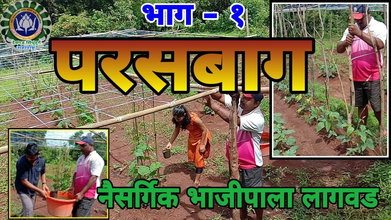नैसर्गिक परसबाग - भाजीपाला लागवड भाग- १/Z.B.N.F.vegetable Home Graden /parasbag bhajipala lagvad