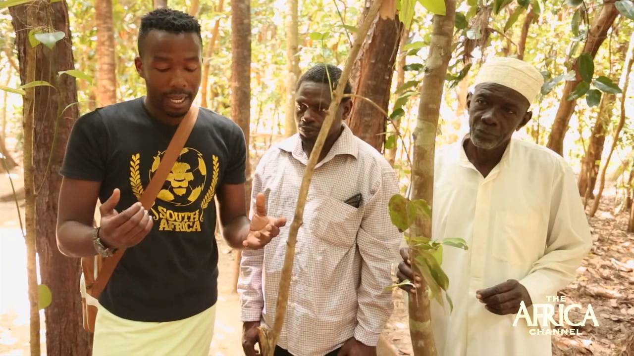 Africa on a Plate: Pemba | Clips THE AFRICA CHANNEL