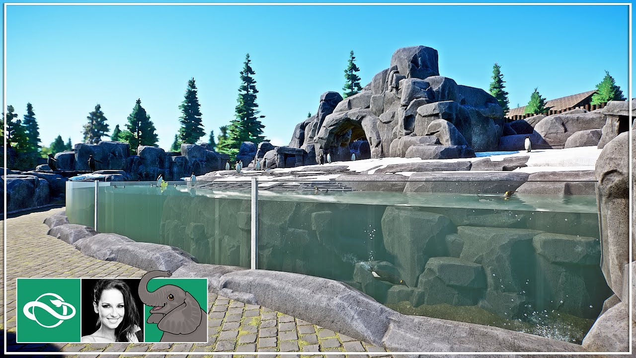 🐘 King Penguin & underwater viewing | City Zoo | Planet Zoo |