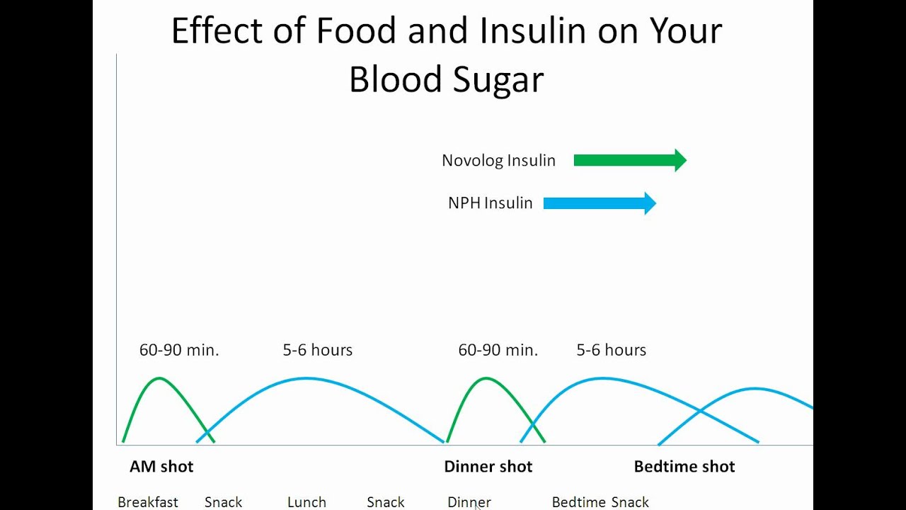 Food and Your Blood Sugar -- Novolog&reg; and NPH - Diabetes Center for Children at CHOP