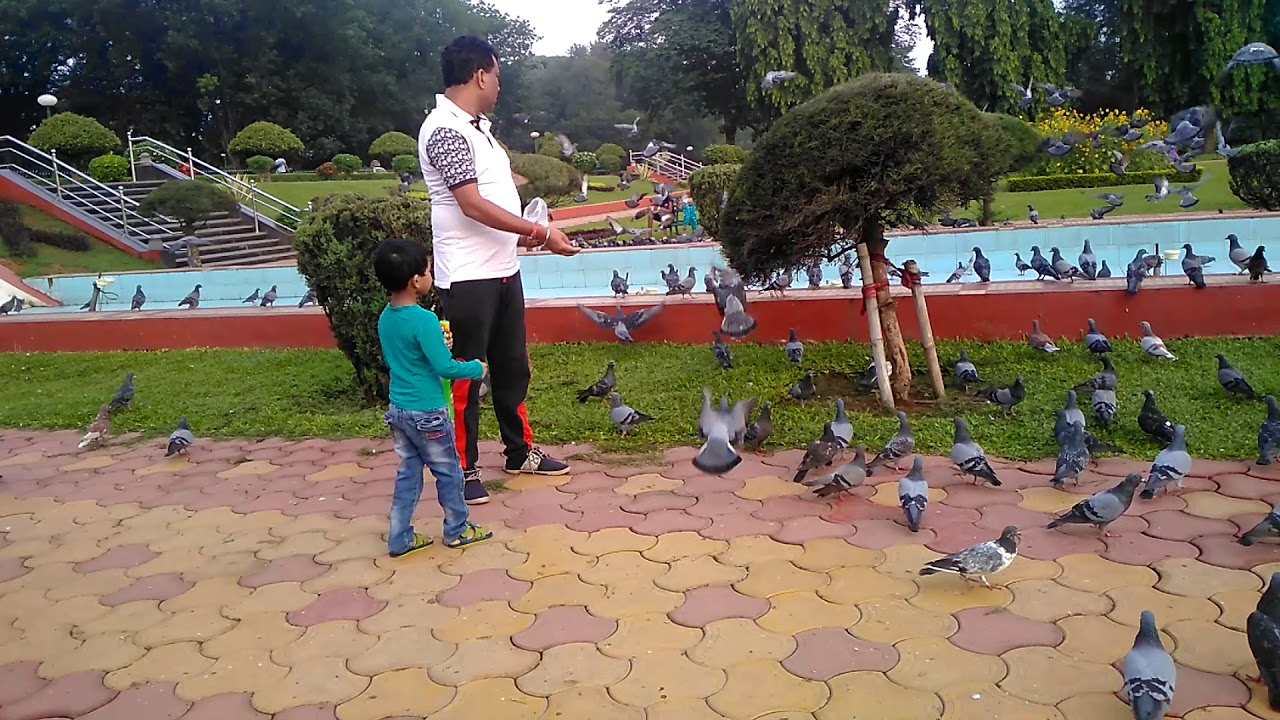walk in talk in jublipark