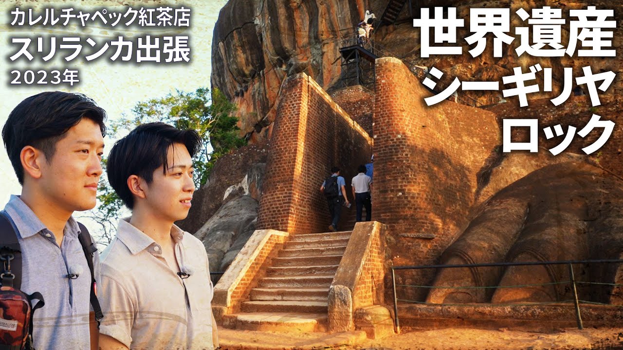 世界遺産シーギリヤロックを体感！【Sigiriya】スリランカ研修#カレルチャペック紅茶店