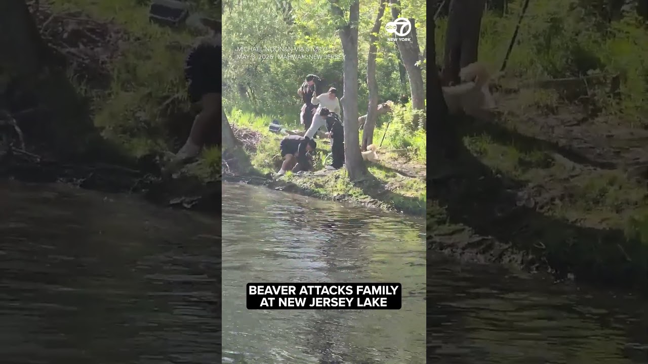 Beaver attacks family at New Jersey lake