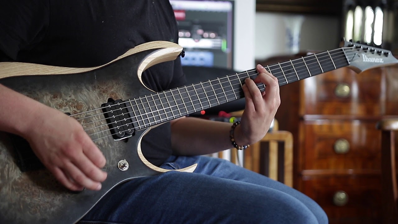 Periphery - Reptile guitar cover (feat Suneo Honekawa)