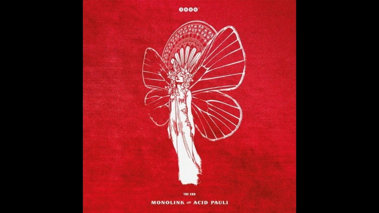 Acid Pauli, Monolink - New Morning (Original Mix)