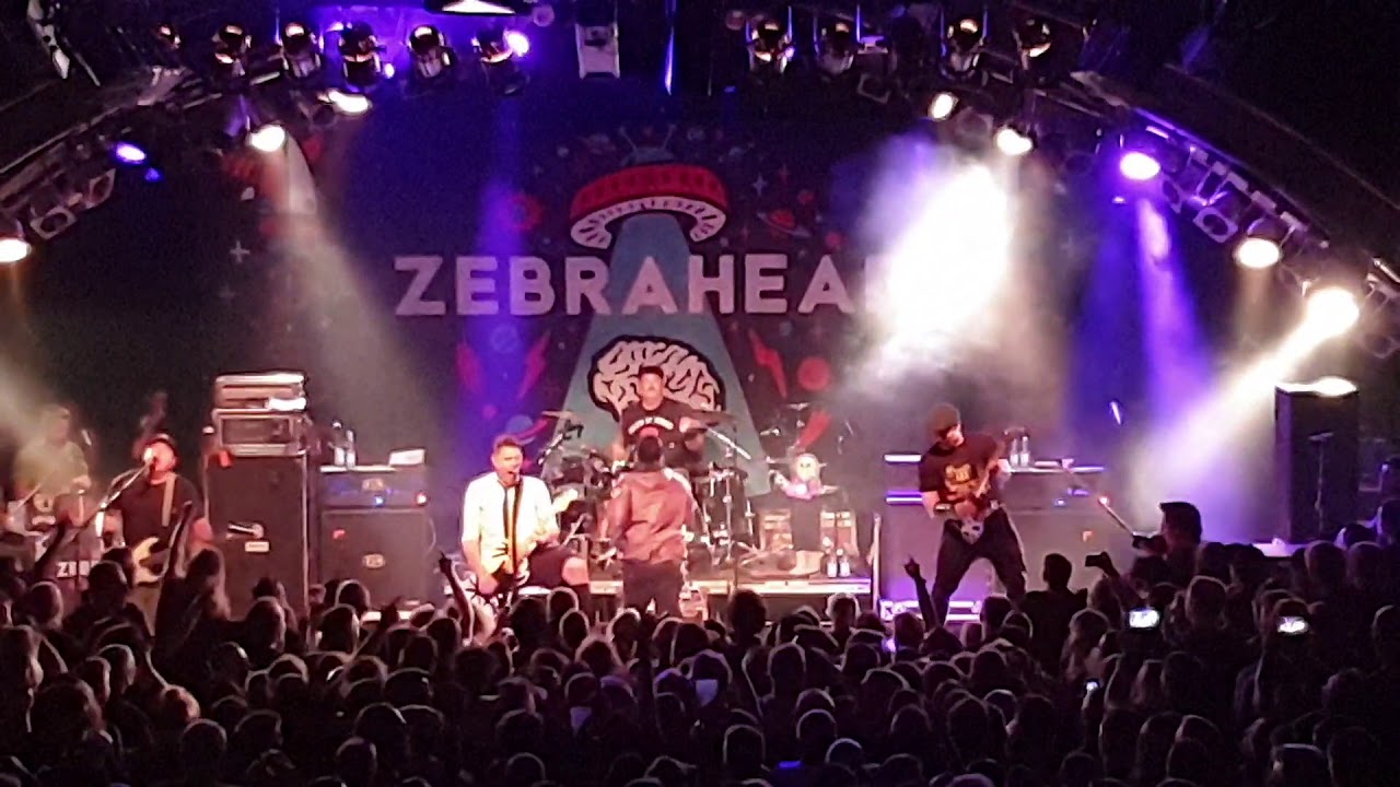 Zebrahead - All My Friends Are Nobodies  (Live in Hamburg Markthalle 17/09/2019)