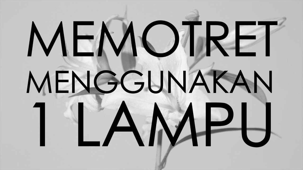 #20 Belajar Foto Pake 1 Lampu