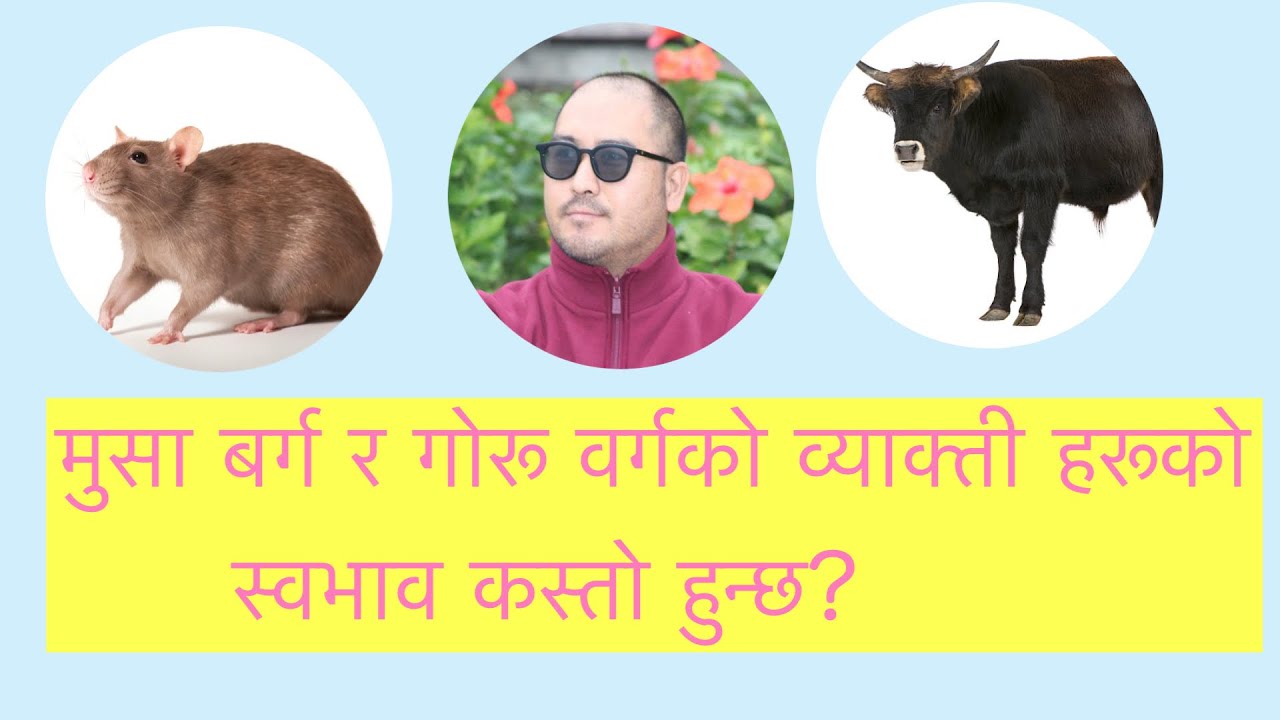 मुसा वर्ग र गोरू वर्गको व्याक्तीहरूको स्वभाव कस्तो हुन्छ?