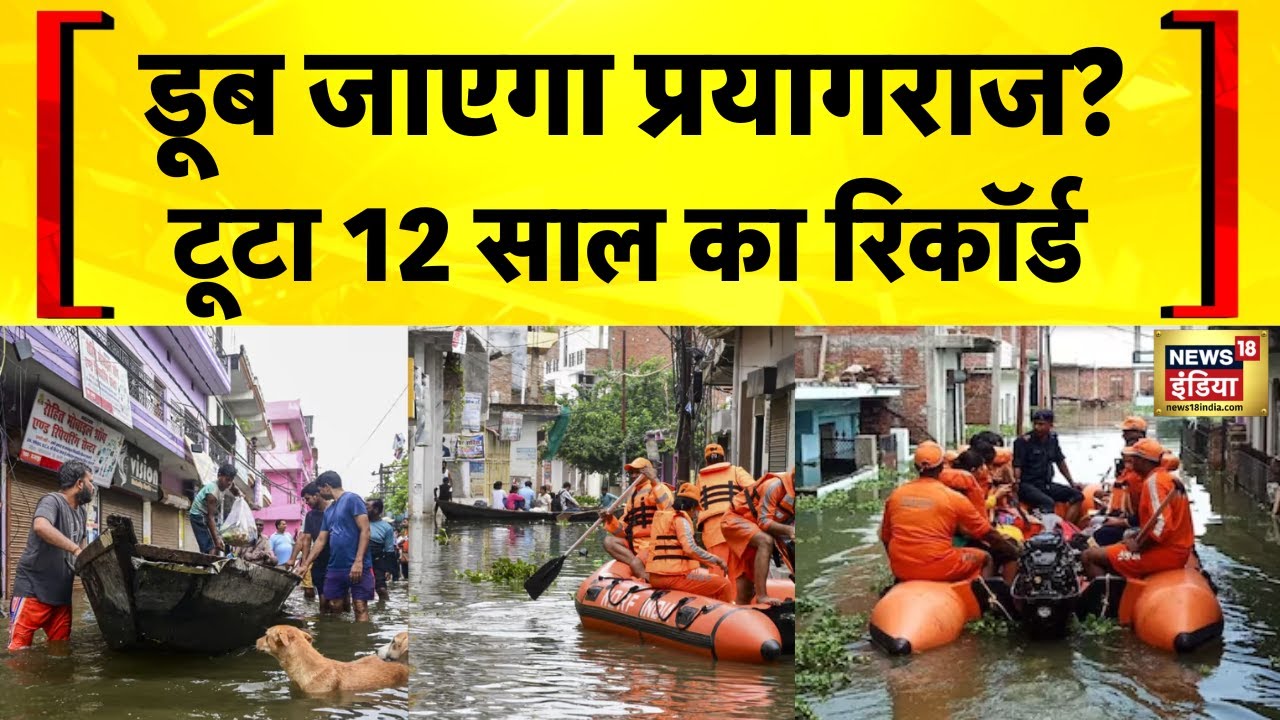 Prayagraj Flood News Today: प्रयागराज में बाढ़ का कहर | Rescue Operation | NDRF | SDRF | Hindi News
