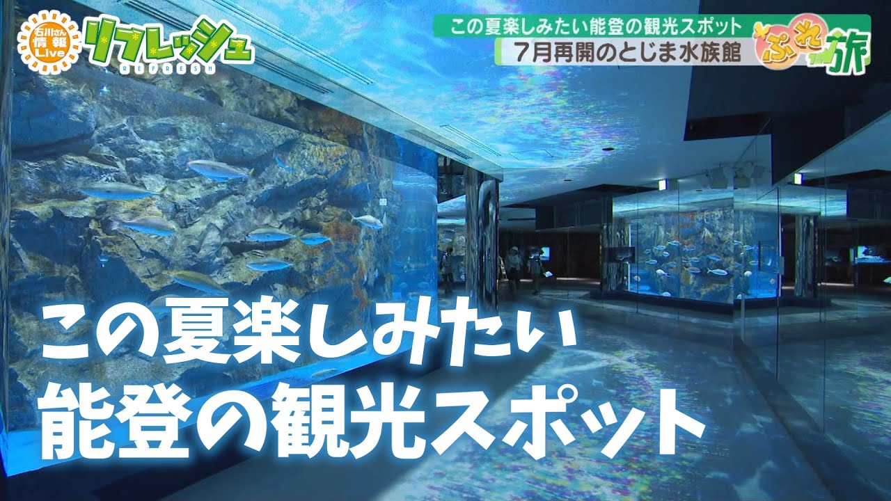 この夏楽しみたい能登の観光スポット　再開したのとじま水族館・野生のイルカも見られる七尾の旅（ぷれ旅）