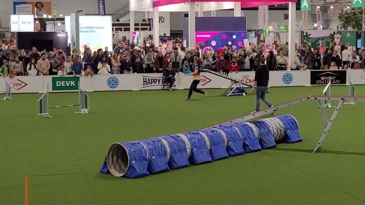 20251108   VDH Agility Trophy A3 Sumi