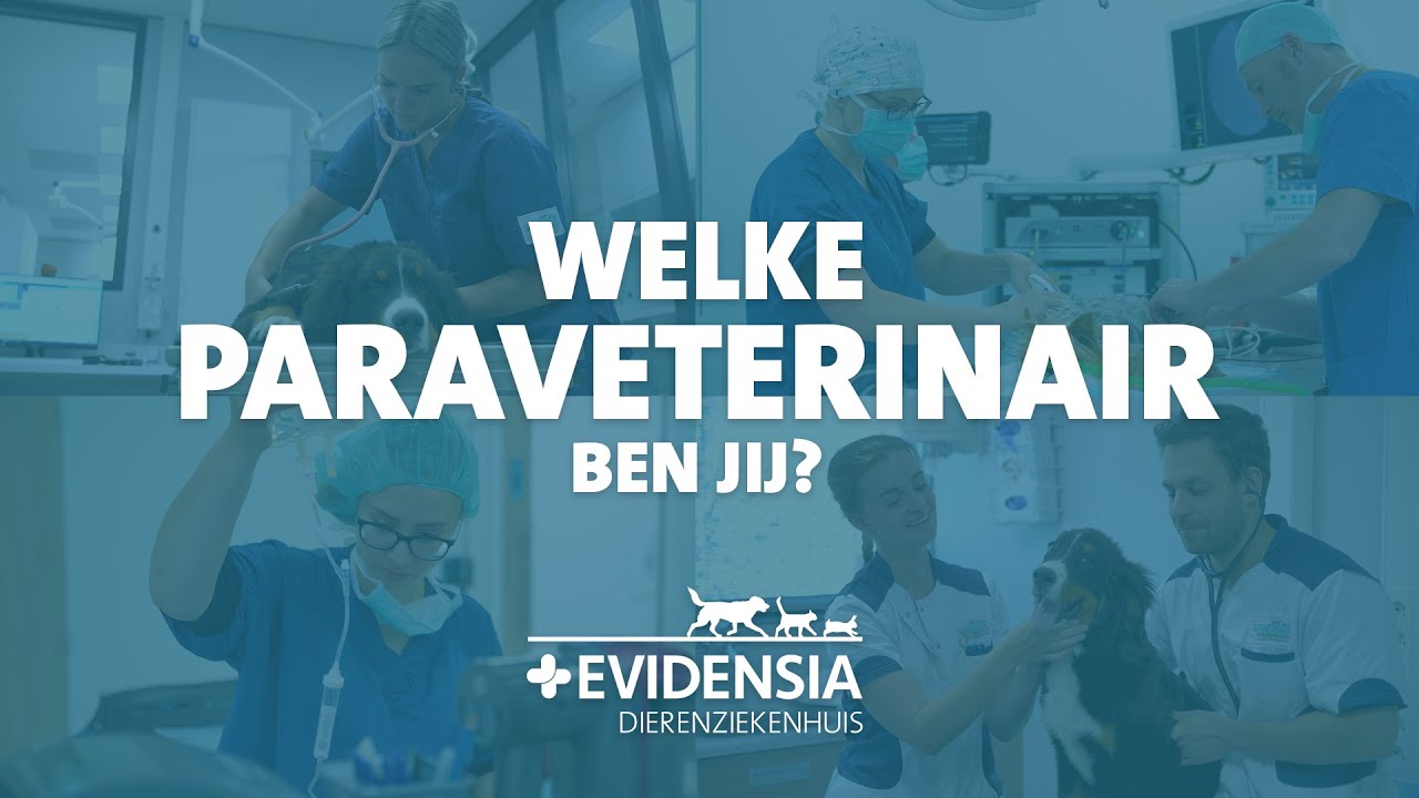 welke paraveterinair ben jij?