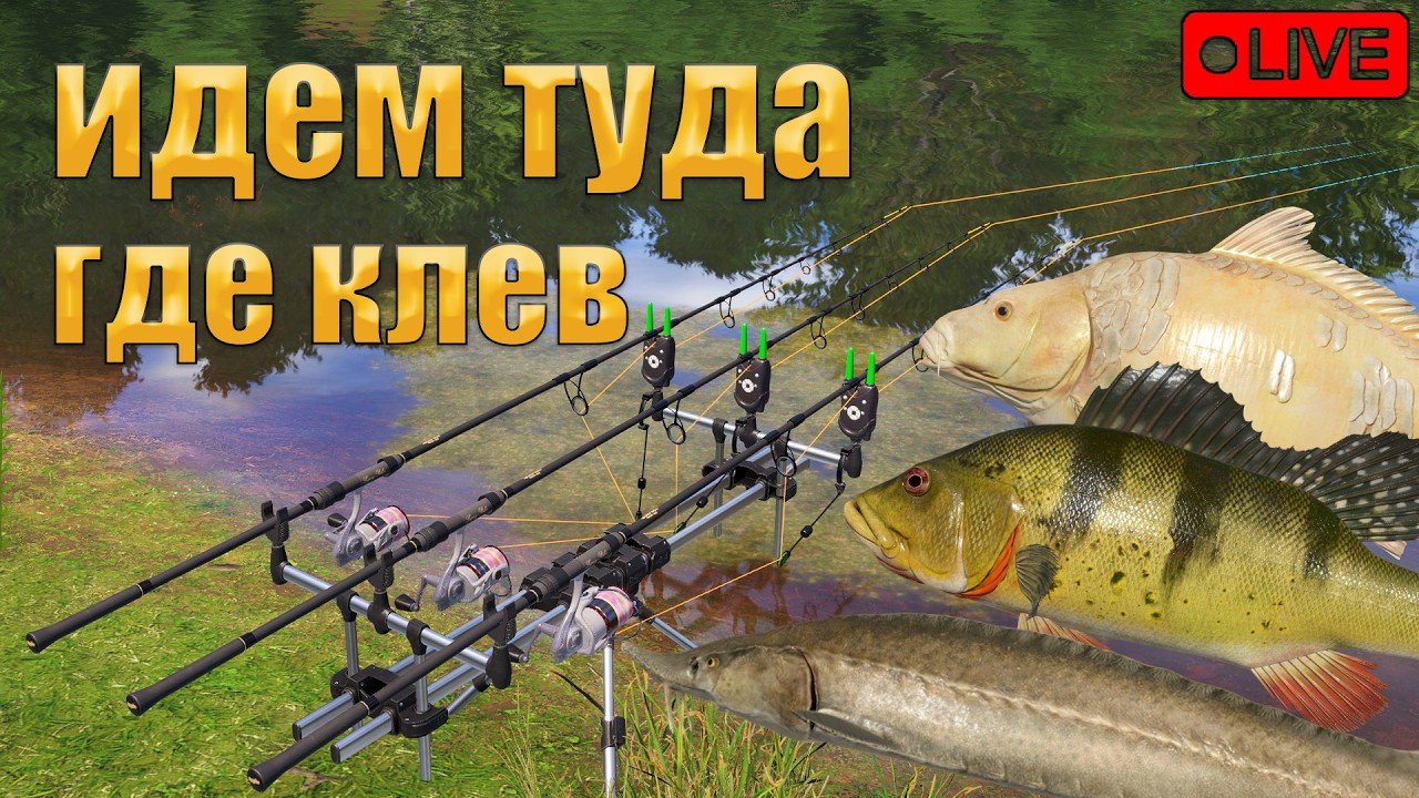 🔴ПРЯМОЙ ЭФИР В РУССКАЯ РЫБАЛКА 4/ФОРУМНЫЙ ТУРИК + ИНТЕРЕСНЫЕ ТОЧКИ💰