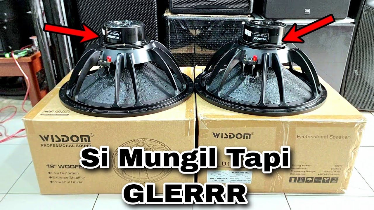 WOW AMAZING ! Speaker SUB 18