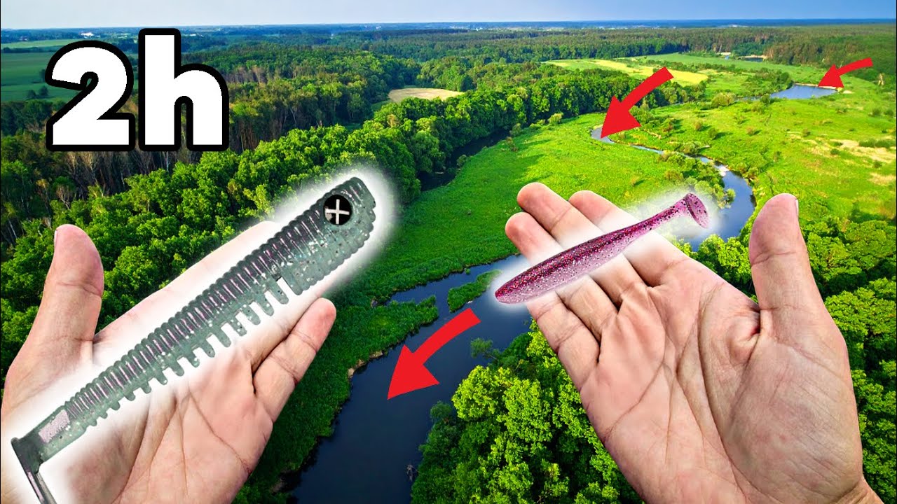 Kleine Köder VS große Köder im Fluss! 🎣💥 - Small River Challenge Ep.1