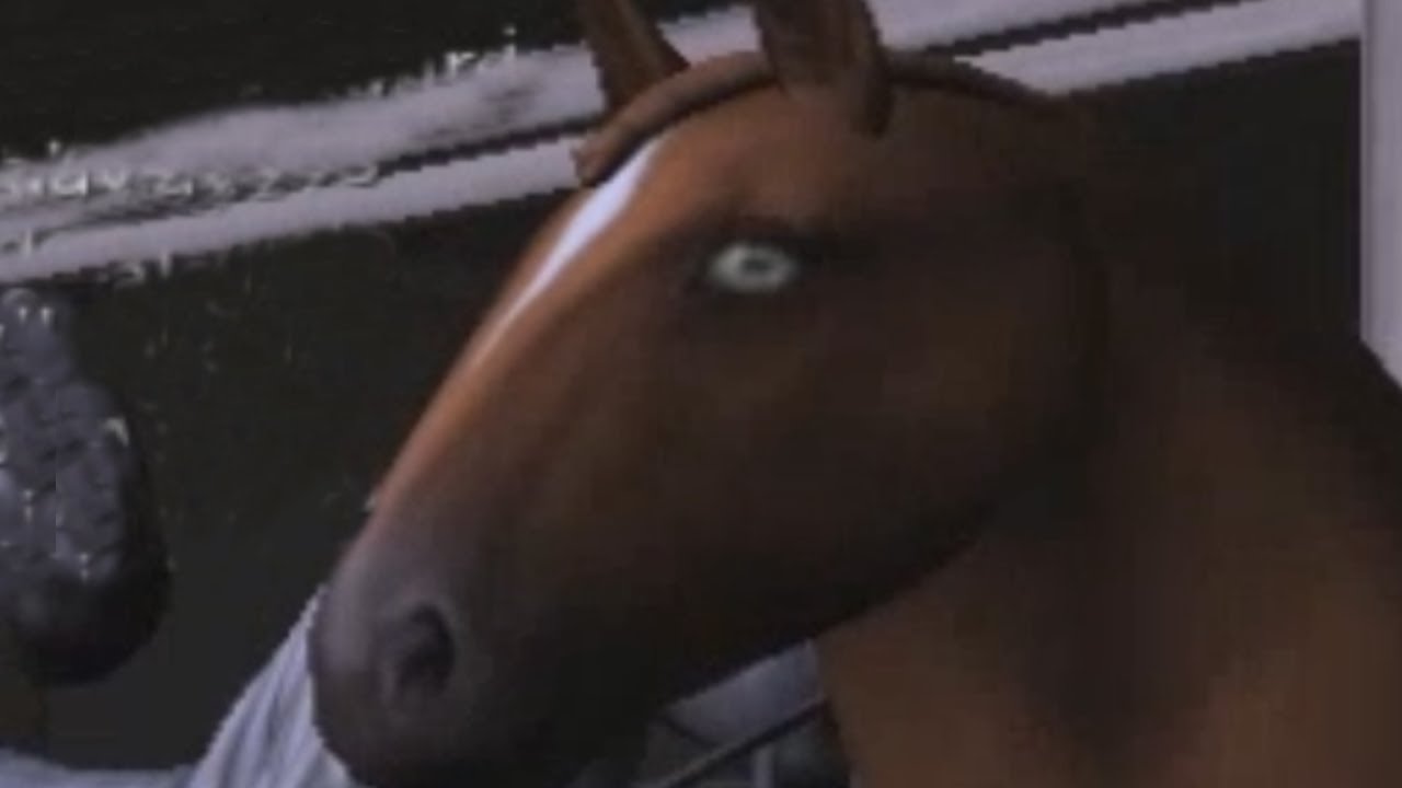 Breeding Horses