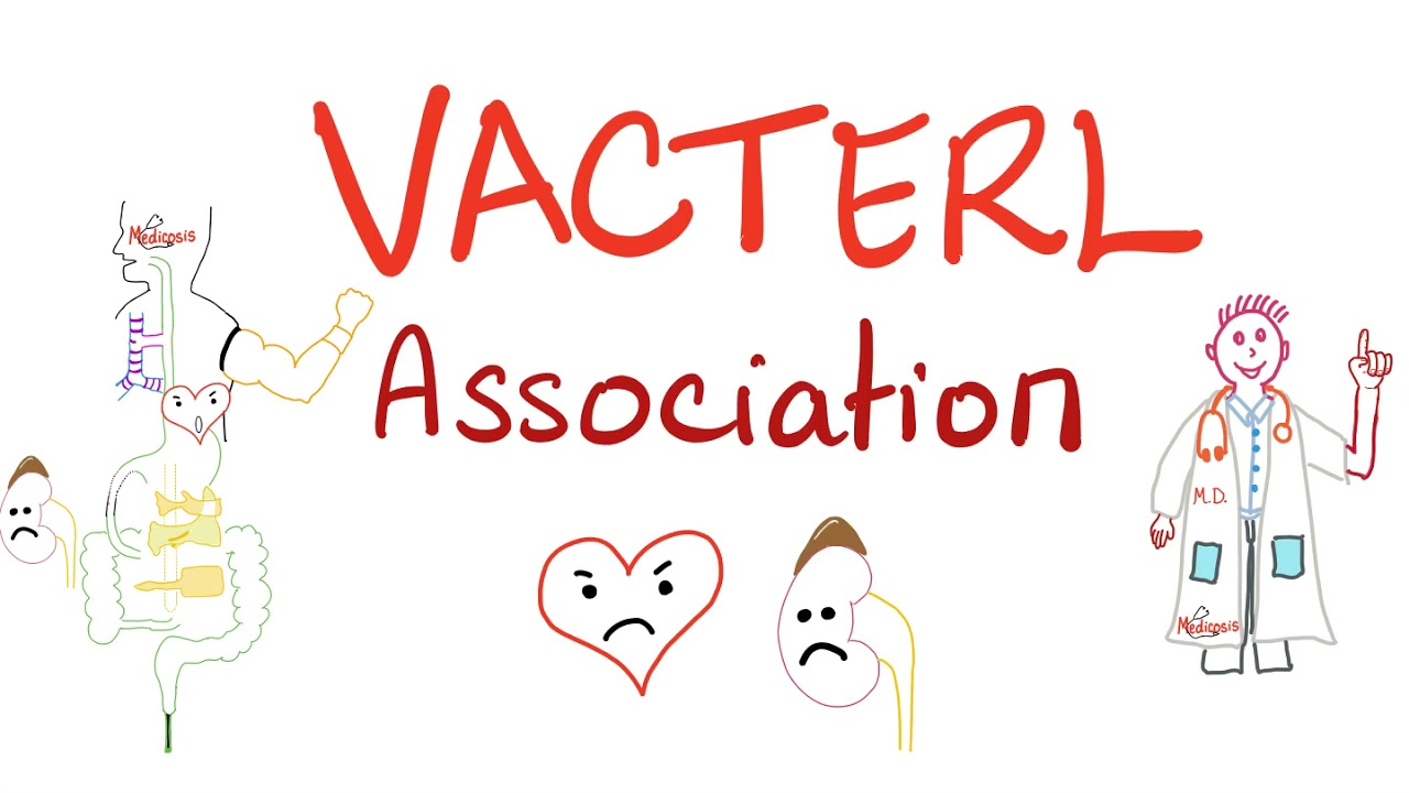 Ассоциация VACTERL с мнемоническим знаком 😉 — Эмбриология и патология