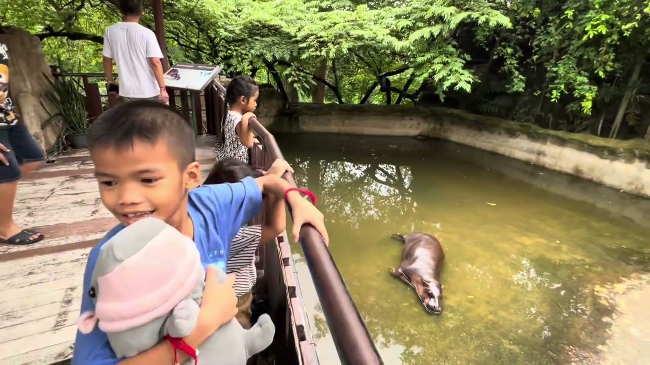 หมูเด้ง  แต่ไม่เด้ง สวนสัตว์ขอนแก่น  