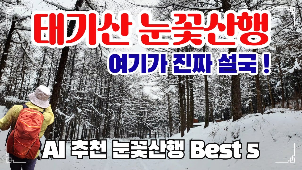 태기산 등산코스 눈꽃 폭발! 입구부터 환상적 설경, 1천미터에서 출발, 가성비 최고 겨울산행 (4K)