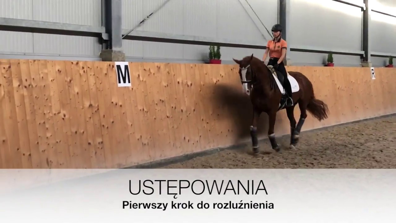 Proste ćwiczenia na rozluźnienie konia || GALOP