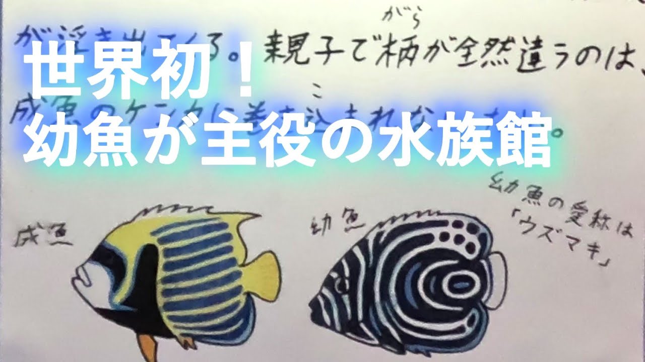 世界初！魚の赤ちゃんが主役の幼魚水族館へようこそ。水族館の前に柿田川湧水公園をチェック！