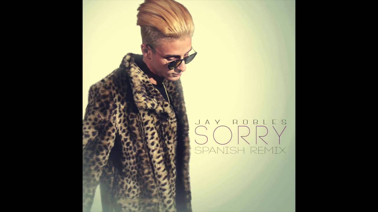 Jay Robles - SORRY ( Jay Robles Remix)