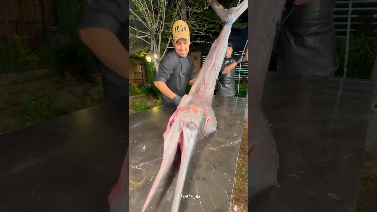 Southern Special:Sail fish with rice🐟🐬🍚🔥#shorts #fish #fishcooking #seafood